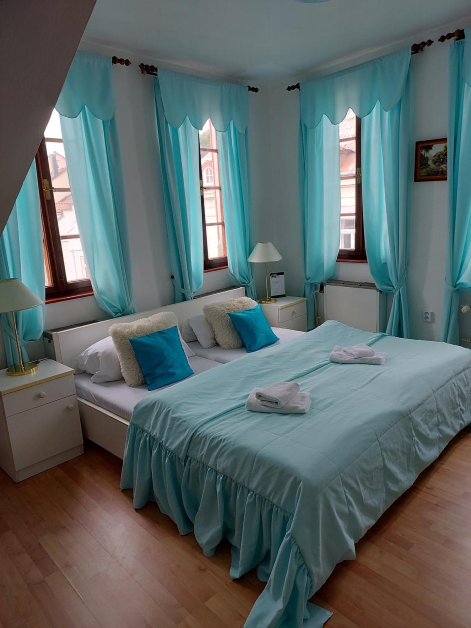 كارلوفي فاري Hotel Asila المظهر الخارجي الصورة